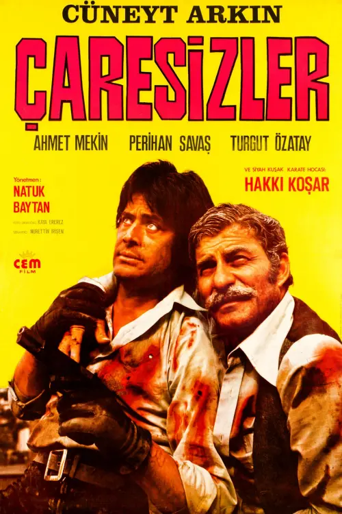 Movie poster "Çaresizler"