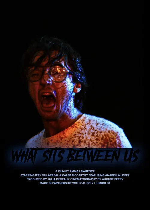 Movie poster "What Sits Between Us"