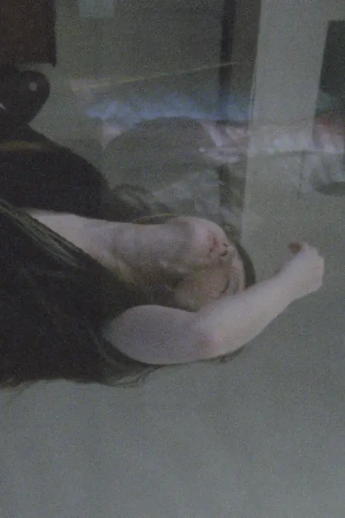 Movie poster "One Room Triptych"