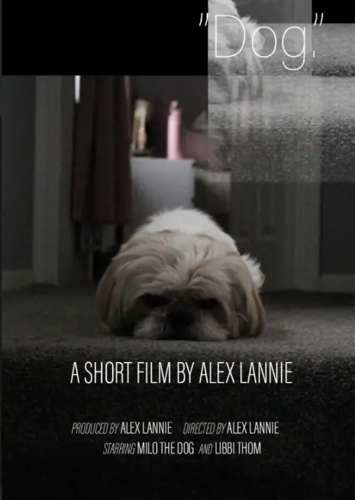 Movie poster "“Dog.”"