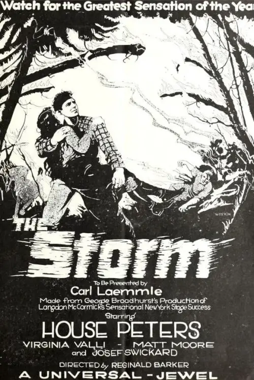 Movie poster "The Storm"