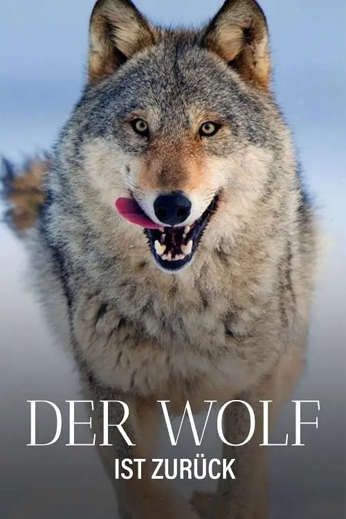Movie poster "Wolf: Wanderer Without Borders"