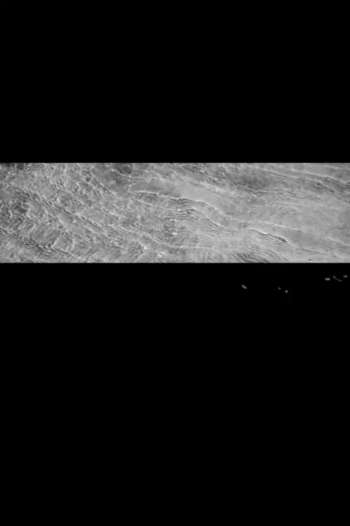 Movie poster "El río siempre fue un color"