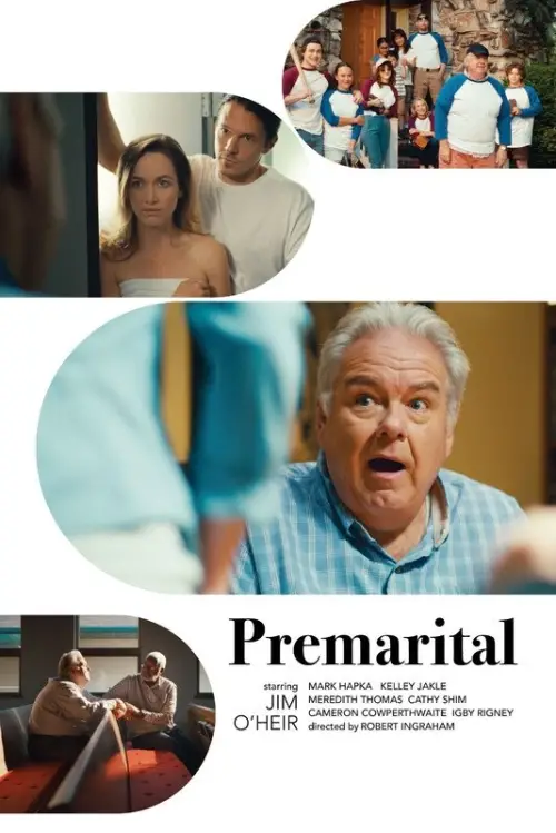 Movie poster "Premarital"
