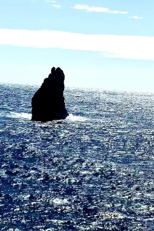 Movie poster "Fishes"