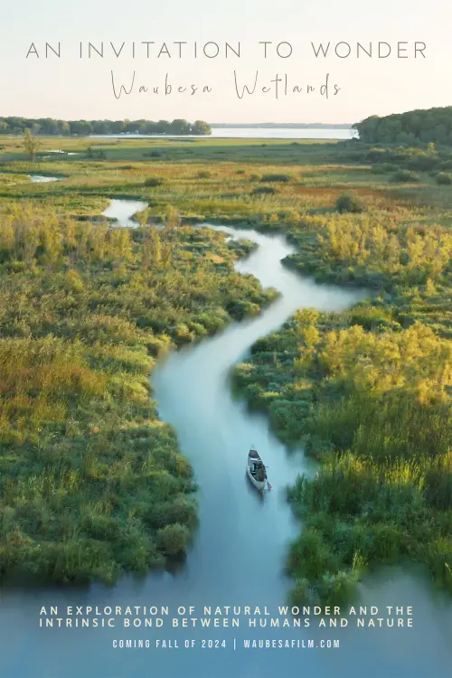 Movie poster "An Invitation to Wonder: Waubesa Wetlands"