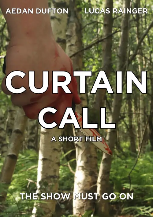 Movie poster "Curtain Call"