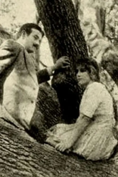 Movie poster "The Girl of the Grove"