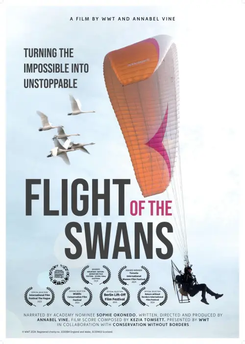 Movie poster "Flight of the Swans"