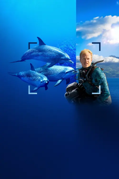 Movie poster "Dolphins Up Close with Bertie Gregory"