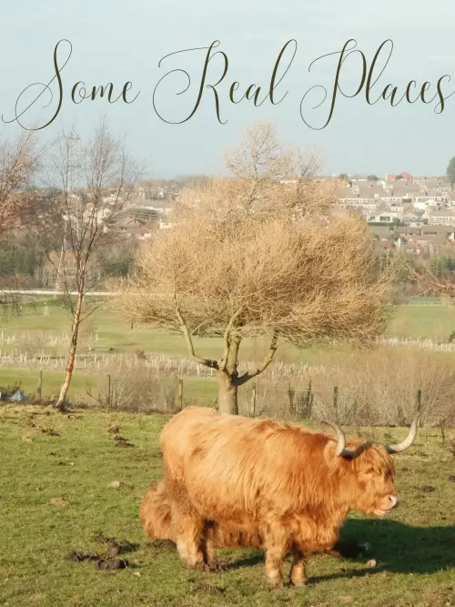 Movie poster "Some Real Places"