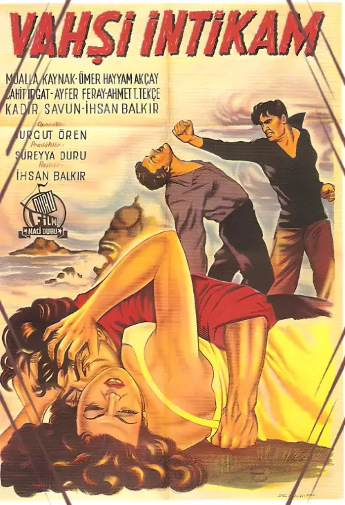 Movie poster "Vahşi İntikam"