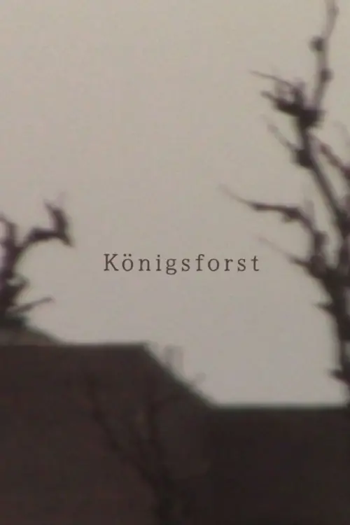 Movie poster "Königsforst"