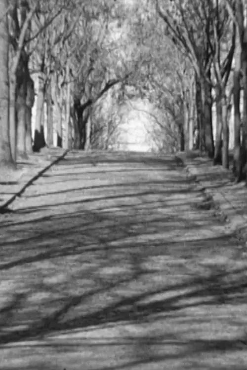 Movie poster "Jelena"