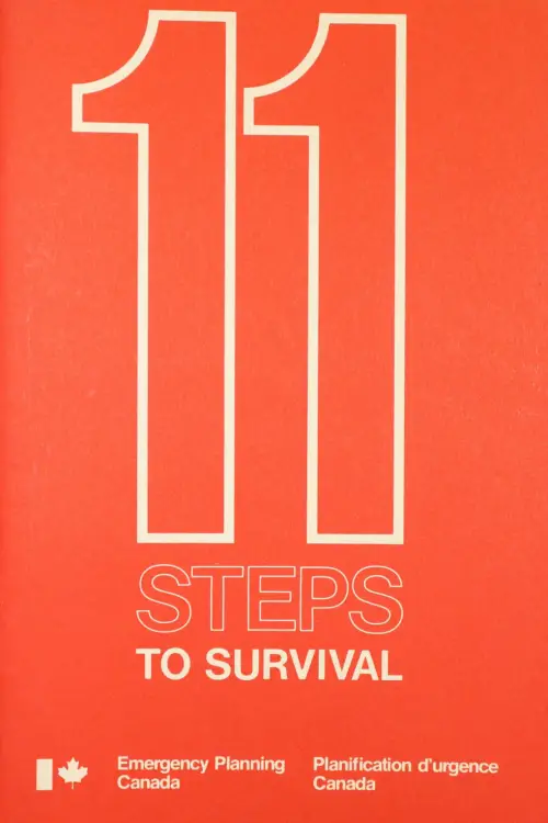Movie poster "11 Steps to Survival"