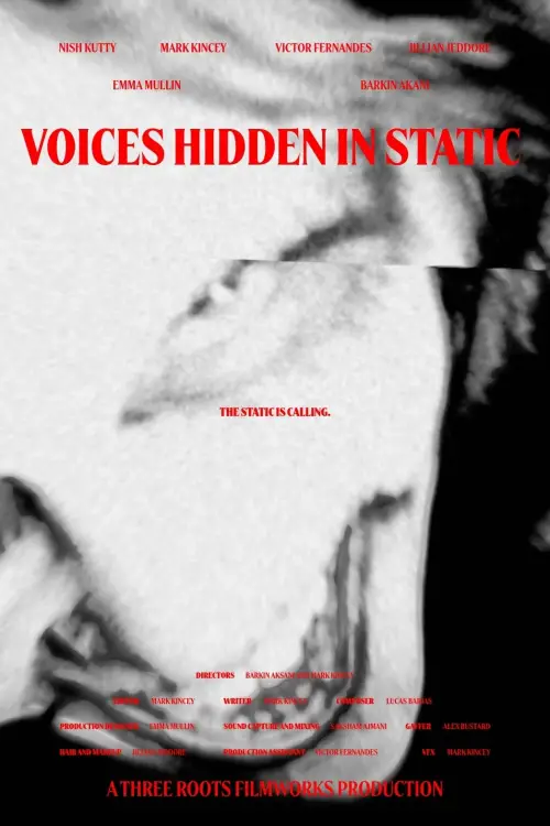 Movie poster "Voices Hidden in Static"