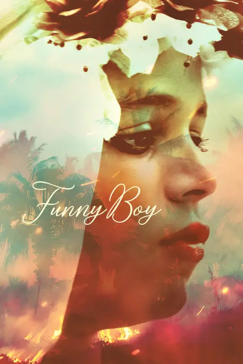 Movie poster "Funny Boy"