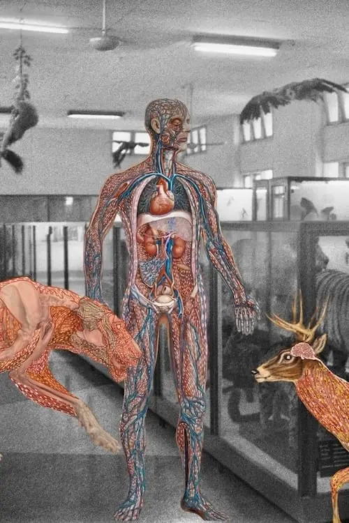 Movie poster "Myanmar Anatomy"