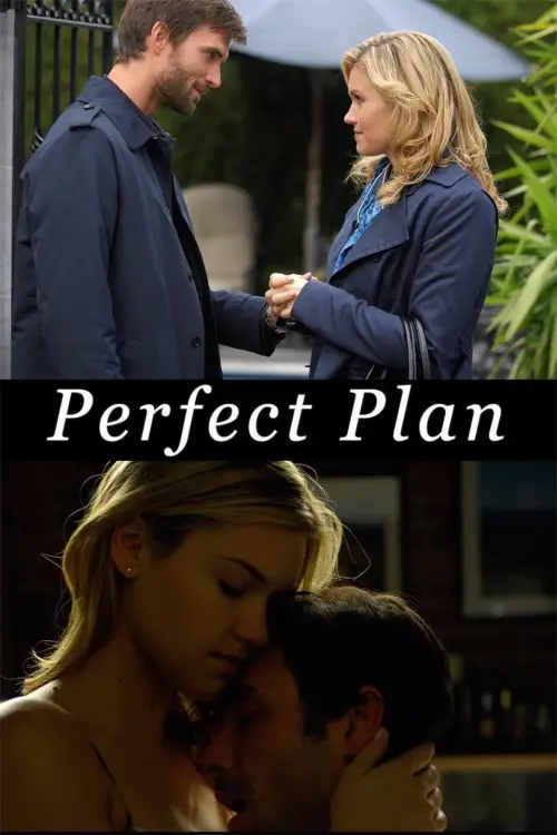 Movie poster "Perfect Plan"