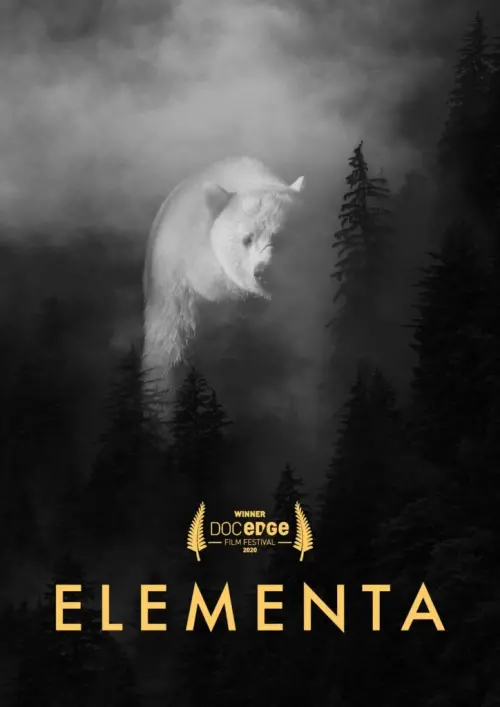 Movie poster "Elementa"