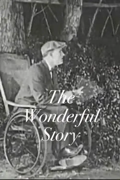Movie poster "The Wonderful Story"