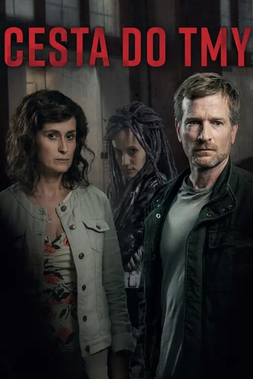 Movie poster "Into the Darkness"
