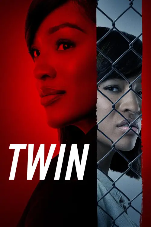 Movie poster "TWIN"