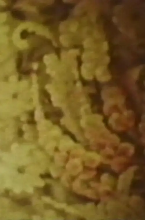 Movie poster "Song 6"