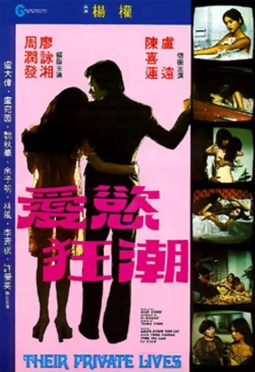 Movie poster "Their Private Lives"