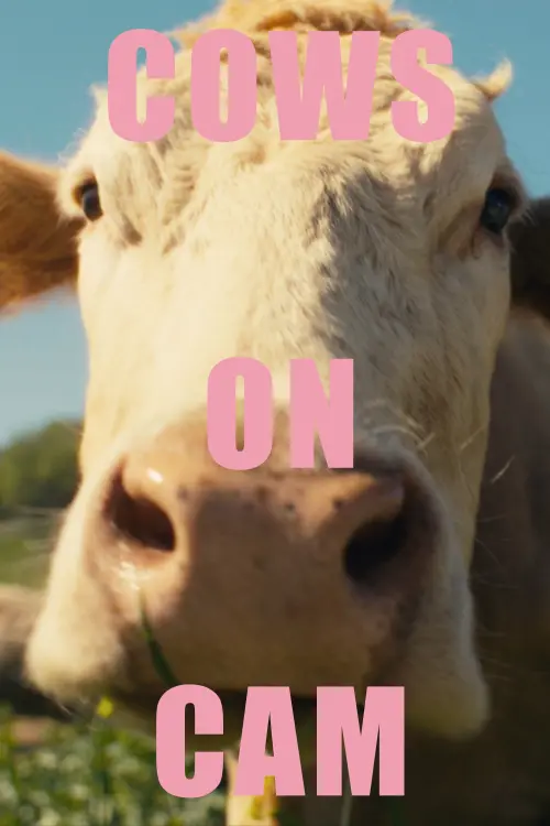 Movie poster "COWS ON CAM"