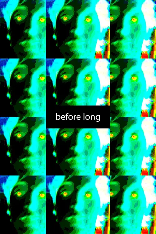 Movie poster "before long"