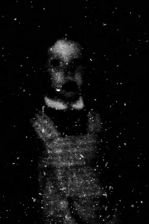 Movie poster "Ghosting Mother"