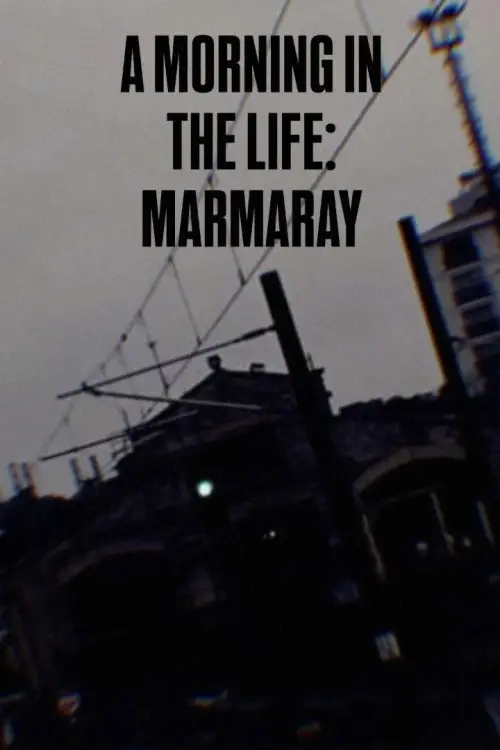 Movie poster "A Morning in the Life: Marmaray"