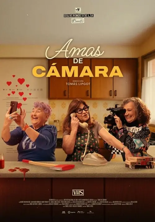 Movie poster "Ladies of the Lens"