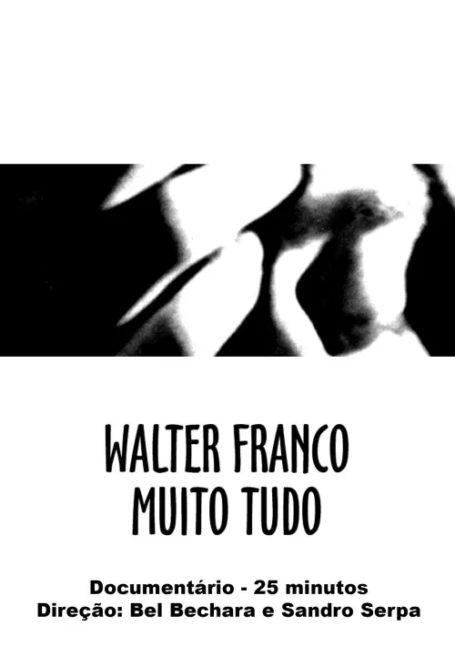 Movie poster "Walter Franco Much Everything"
