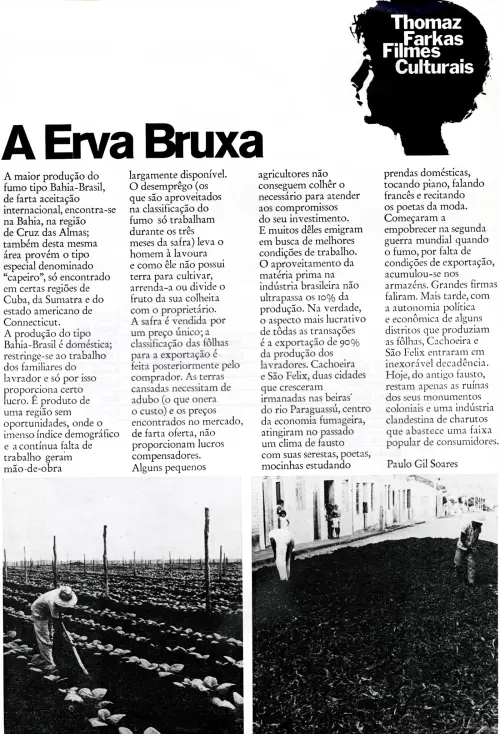Movie poster "A Erva Bruxa"