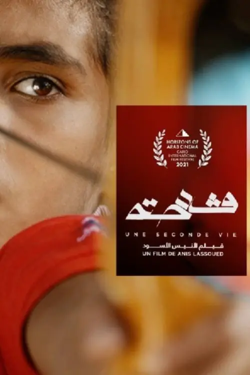 Movie poster "A Second Life"