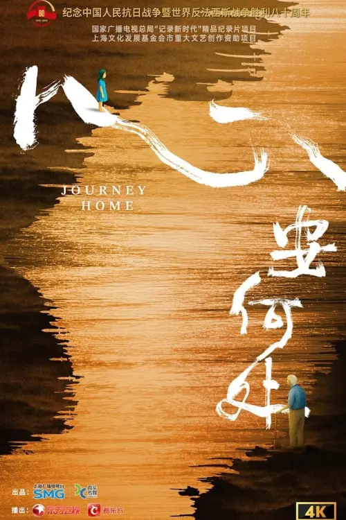 Movie poster "心安何处"