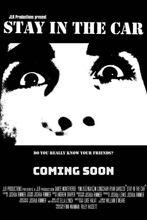Movie poster "Stay in the Car"