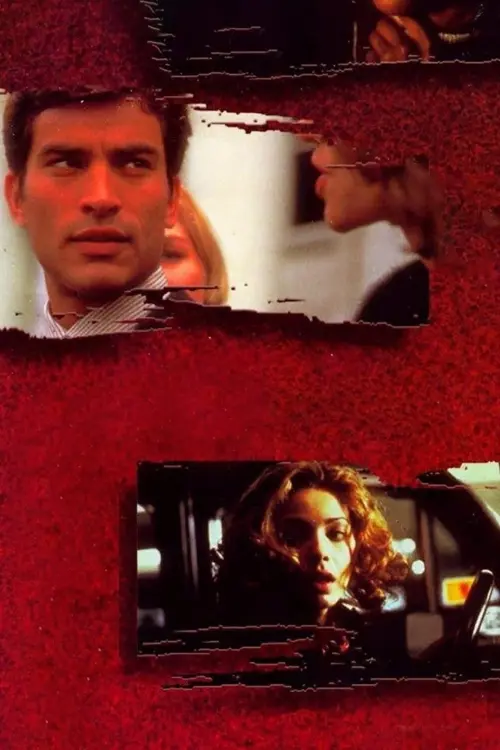 Movie poster "Invasion of Privacy"