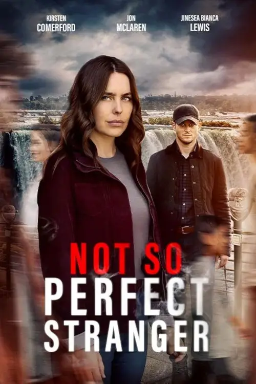 Movie poster "Not So Perfect Stranger"