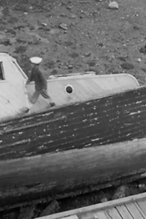 Movie poster "France on a Pebble"