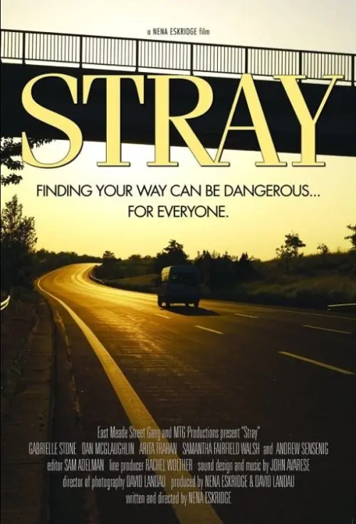 Movie poster "Stray"
