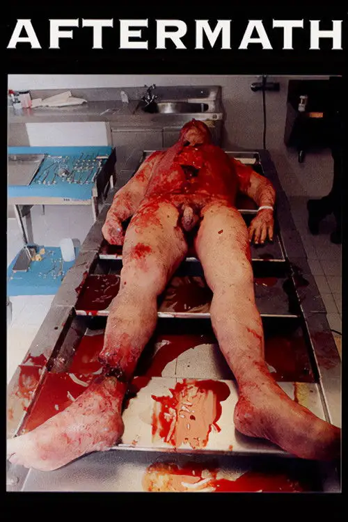 Movie poster "Aftermath"