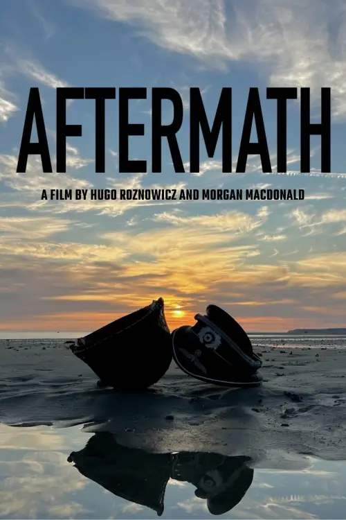 Movie poster "Aftermath"