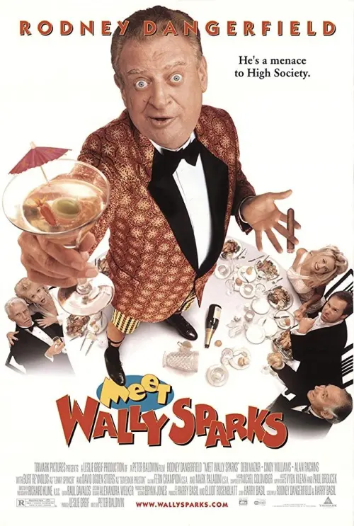 Movie poster "Meet Wally Sparks"
