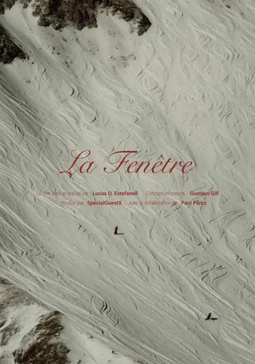 Movie poster "La Fenêtre"