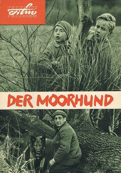 Movie poster "The Moorhound"