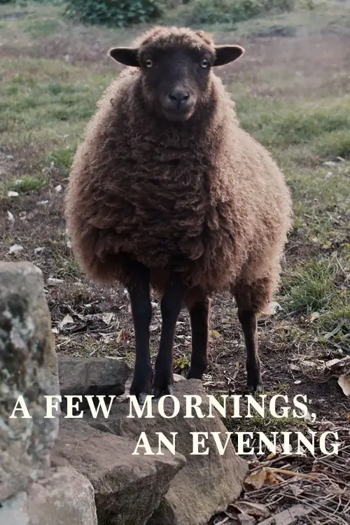 Movie poster "a Few Mornings, an Evening"