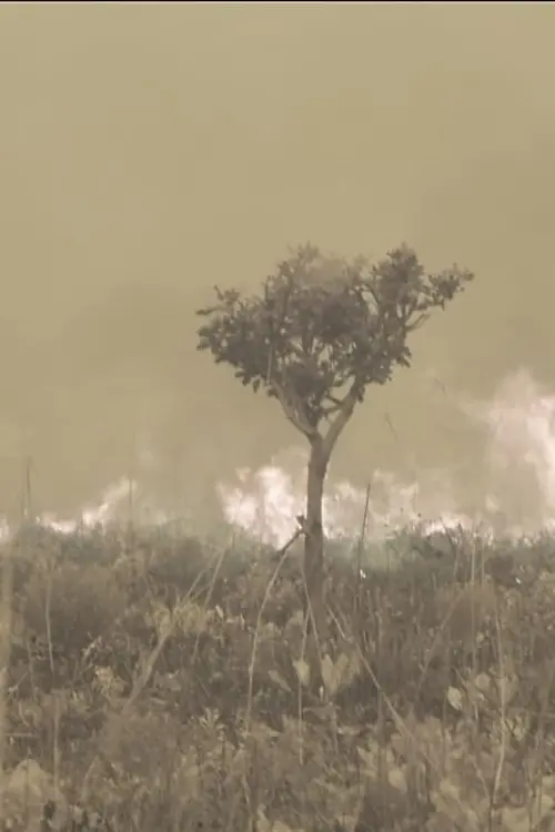 Movie poster "Tales from the Source"